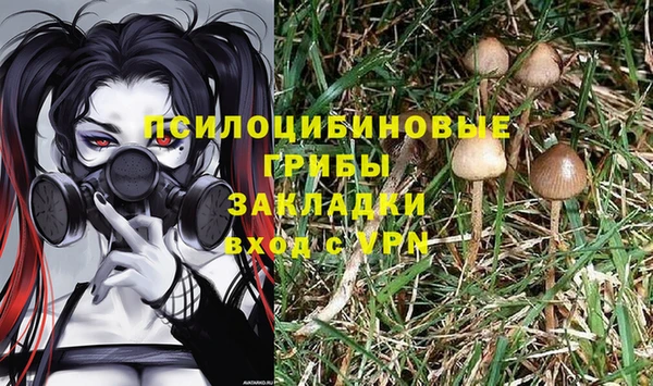 мет Осинники