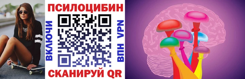 Псилоцибиновые грибы Psilocybine cubensis  Купить закладки  Железногорск-Илимский 